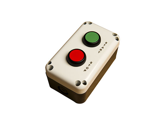Flush Head Pro Two Push Buttons Station