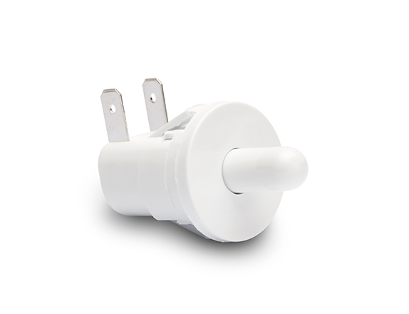 Plunger Switch