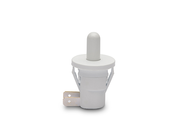 Plunger Switch