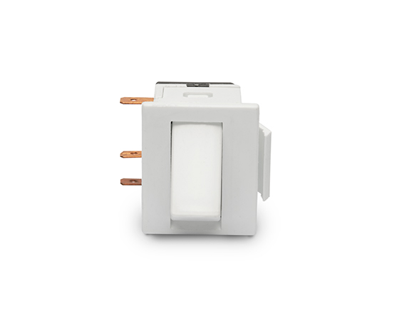 Rocker Switch