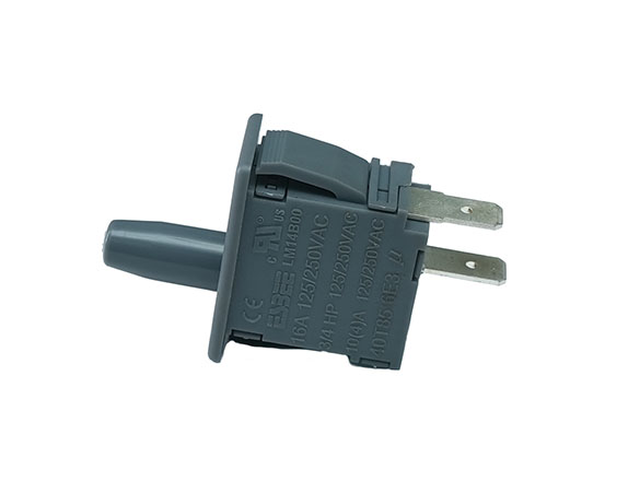 Interlock Switch