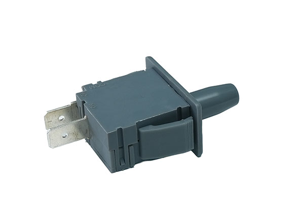 Interlock Switch