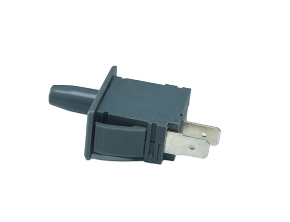 Interlock Switch
