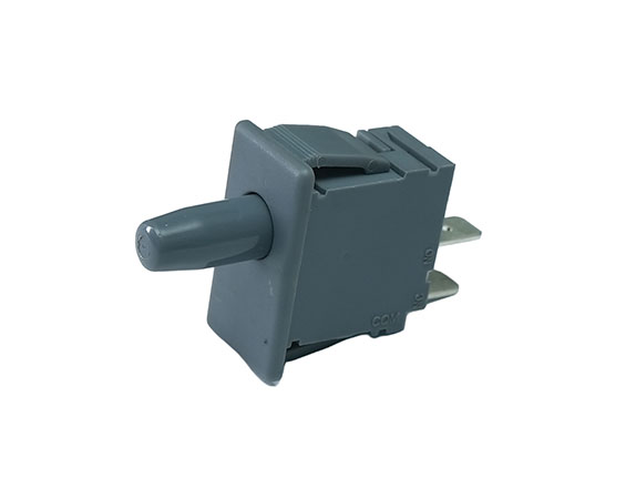 Interlock Switch