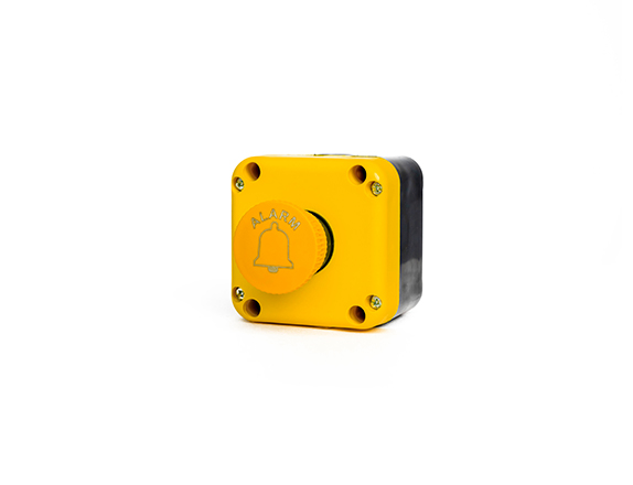 Pit Switches 