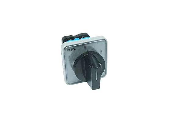 Cam Switches