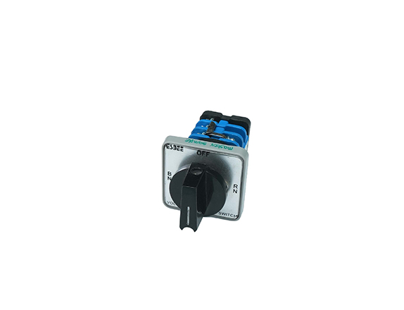 Cam Switches