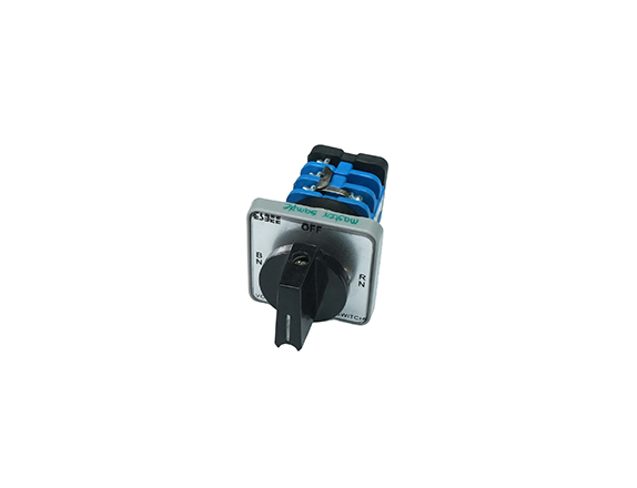 Cam Switches