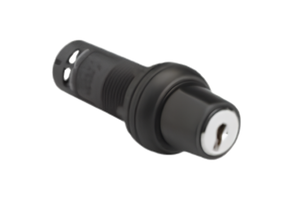 Lock & Key Push Buttons